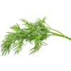 Dill
