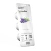 Lavendel - Image 2