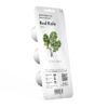 Red Kale - Image 3