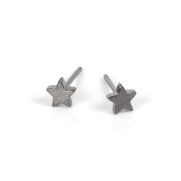 Earrings Petites Star
