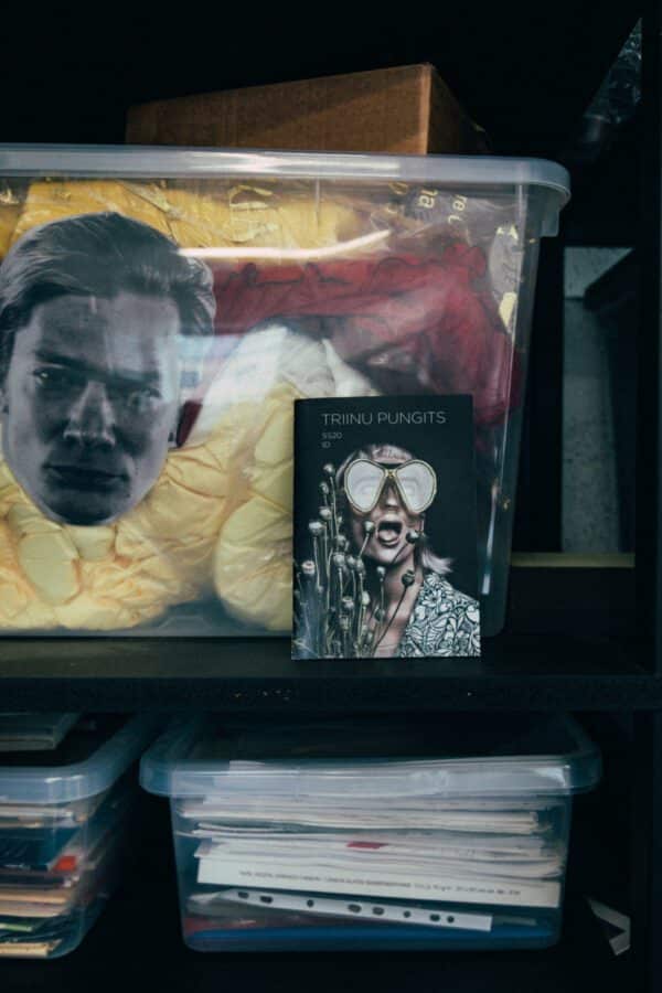 Artist Series: Triinu Pungits