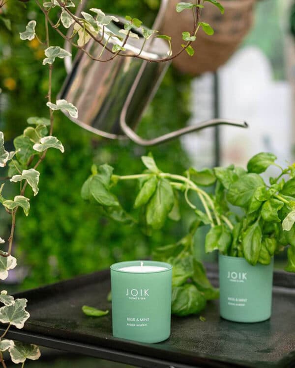 Scented candle “Basil and Mint”