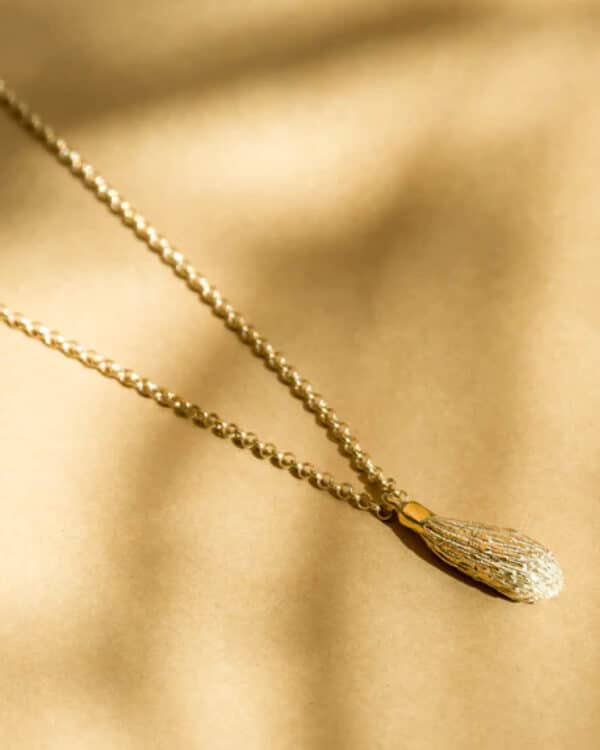 Golden necklace Spruce