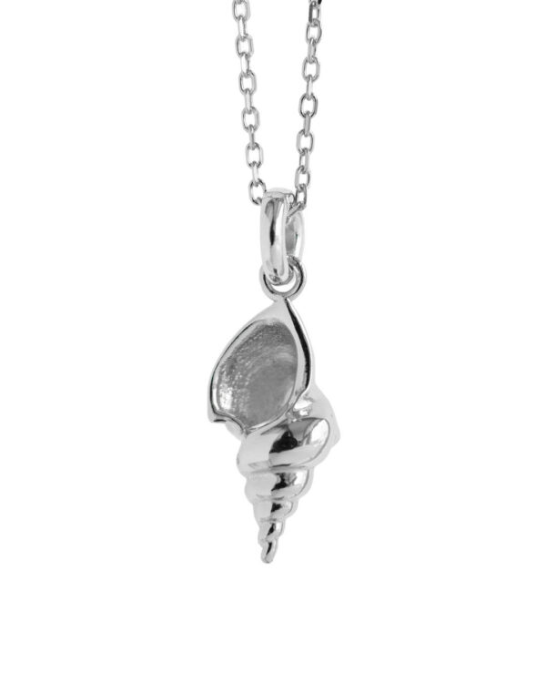 Night Shell necklace