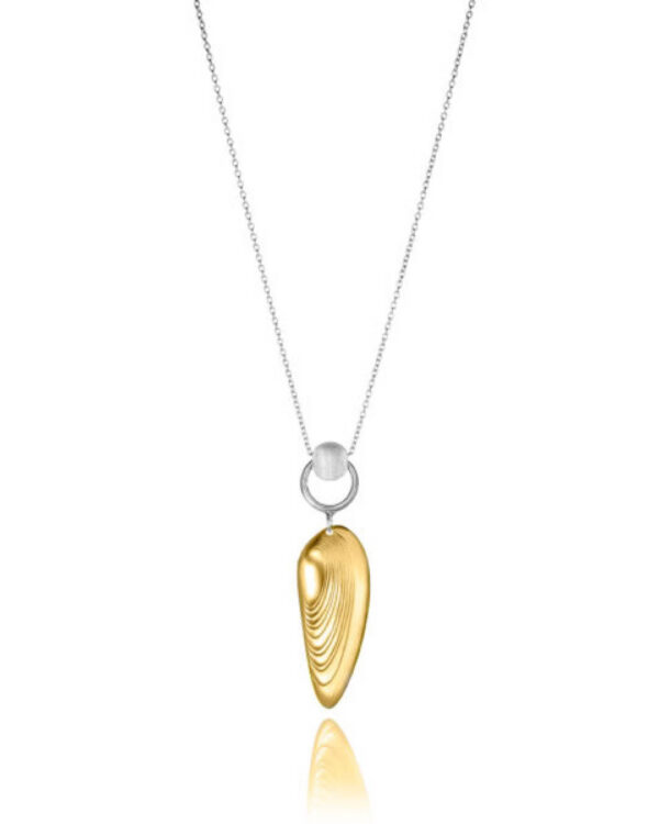 Kaelakee Ajamuna Ajaleht kuldne