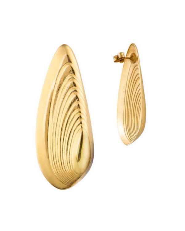 Kõrvarõngad Ajamuna Ajahetk