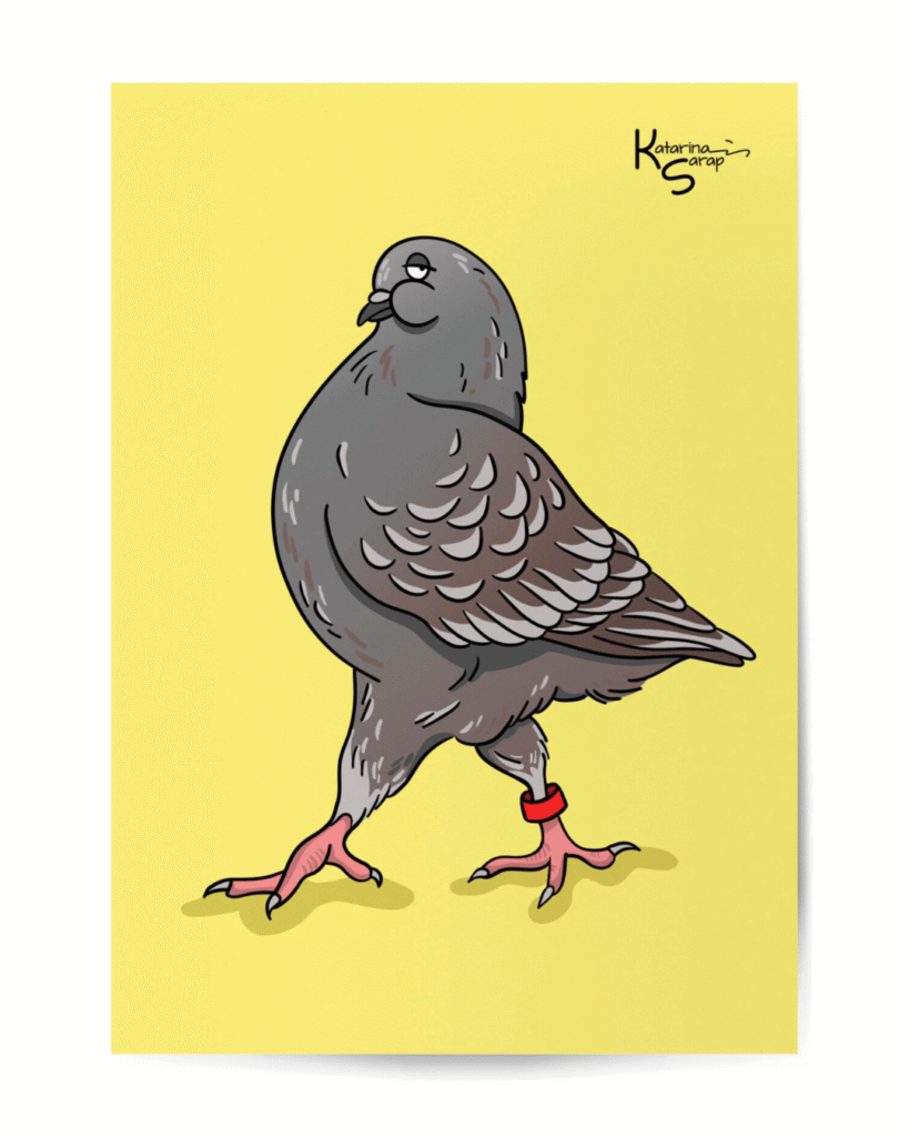 Katarina Sarap Tallinn Design House